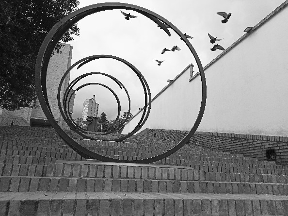 Espirales arquitectónicas y aves