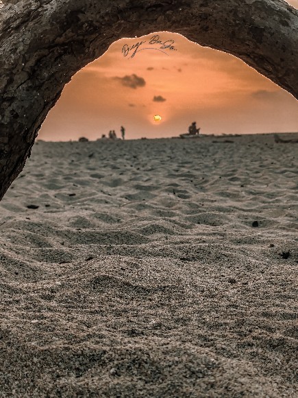 Atardecer enmarcado por un tronco