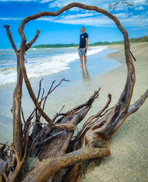 Playa y ramas formando un arco